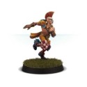 Blood Bowl Eldril Sidewinder