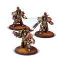 Adeptus Custodes Legio Custodes Aquilon Terminators